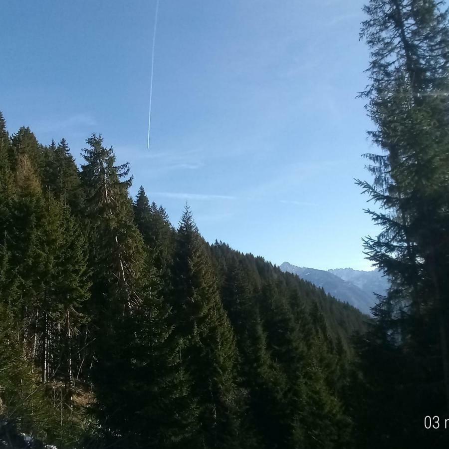 Da Nicola E Laura Apartment Santo Stefano Di Cadore Ngoại thất bức ảnh