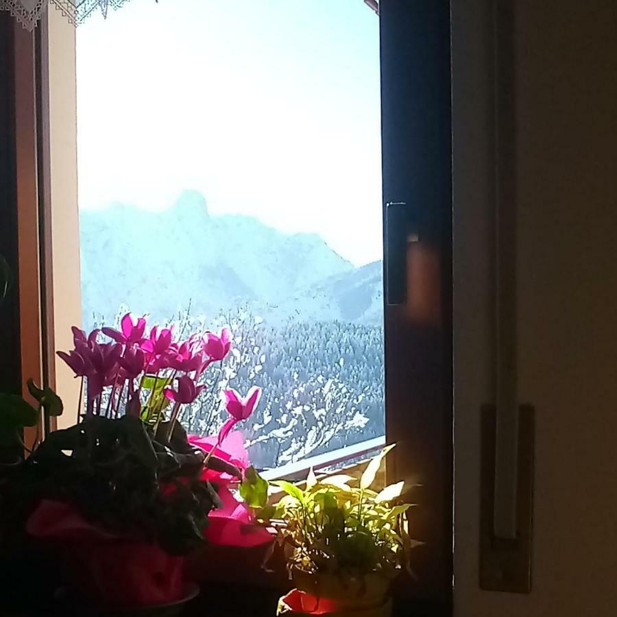 Da Nicola E Laura Apartment Santo Stefano Di Cadore Ngoại thất bức ảnh